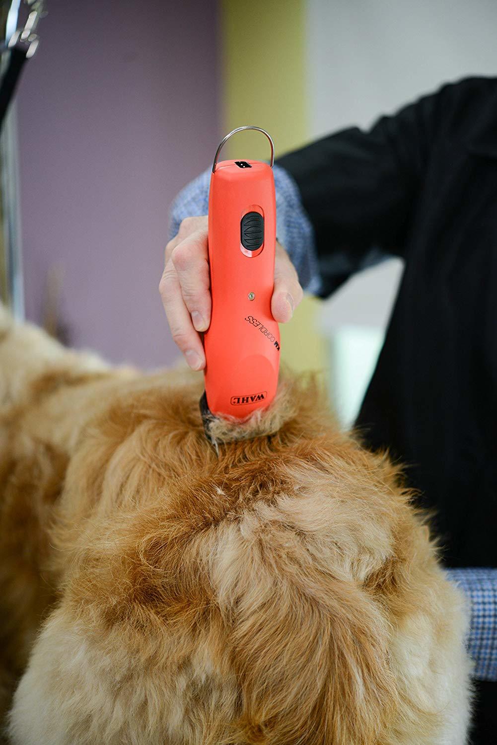 wahl cordless km clippers