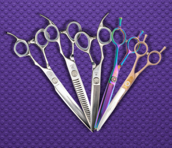 Scissors