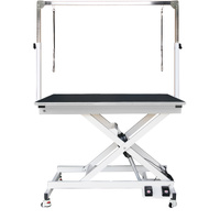 Professional Electric Pet Grooming Table with Foot Controls - NEW Style
