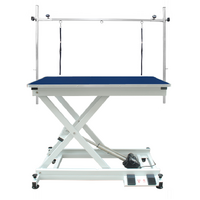 Professional Electric Pet Grooming Table with Foot Control - Blue - NEW Style
