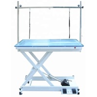 Electric Lift Grooming Table with LED and Acrylic top
