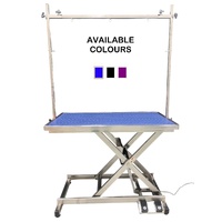 Stainless Steel Electric Lift Grooming Table - Blue - With locking castor