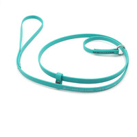 Jelly Pet Grooming Lead - Slip Style - 3/8" x 4' - Teal