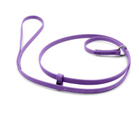 Jelly Pet Grooming Lead - Slip Style - 3/8" x 4' - Purple