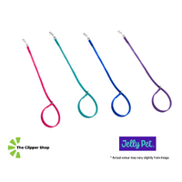 Jelly Pet Grooming Loop - Choker/Slip Style  - 1/2" x 30"