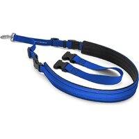 Jelly Pet Belly Loop Set - Royal Blue