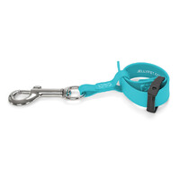 Jelly Pet Grooming Loop Safety Tethers - Teal