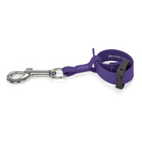 Jelly Pet Grooming Loop Safety Tethers - Purple