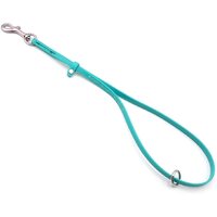 Jelly Pet Grooming Loop with Ring 3/8" x 18" - Teal