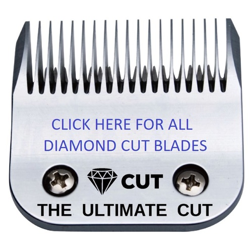 best trimmer under 1000 in 2019