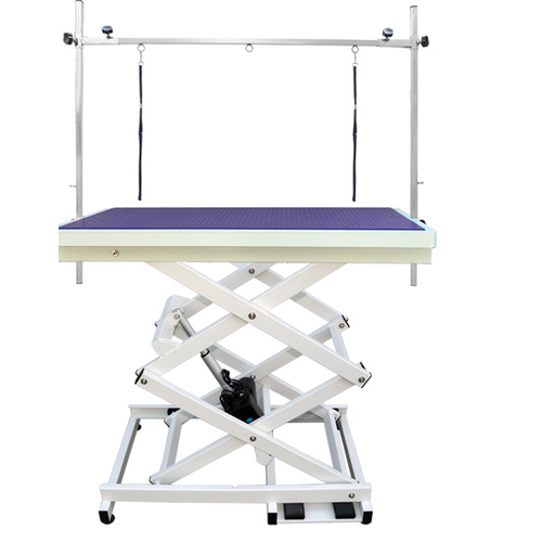 Professional Electric Pet Grooming Table - Scissor Style