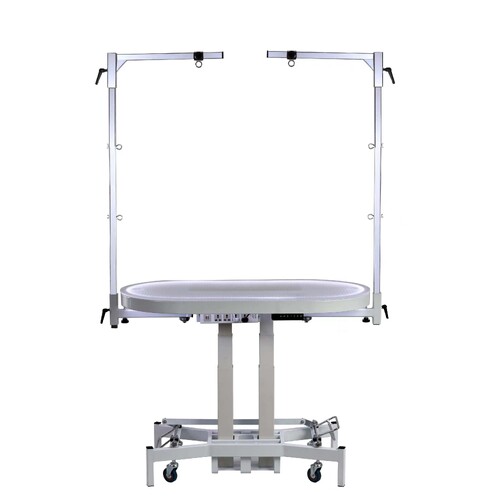 Oval Electric Grooming Table with Lighting