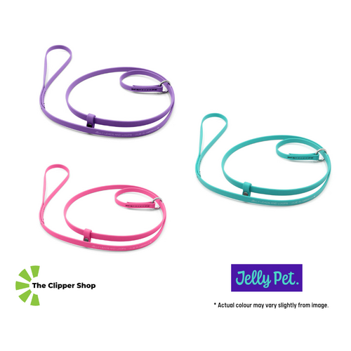 Jelly Pet Grooming Lead - Slip Style - 3/8" x 4'