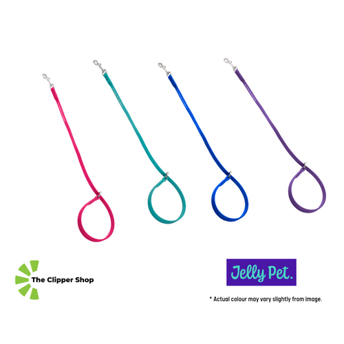 Jelly Pet Grooming Loop - Choker/Slip Style  - 3/8" x 25"