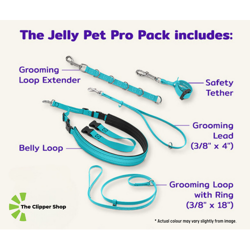 Jelly Pet Pro Pack | 5 Best Sellers In 1 | For Safe and Comfortable Grooming - Teal