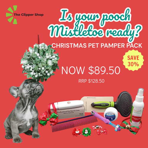 Christmas Pet Pamper Value Pack