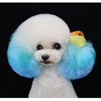 Creative Grooming